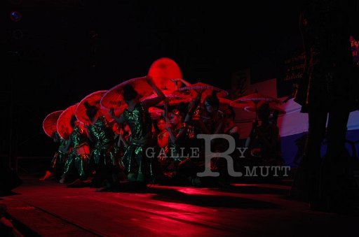 DSC_0216.JPG