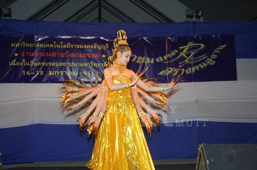 DSC_0331.JPG