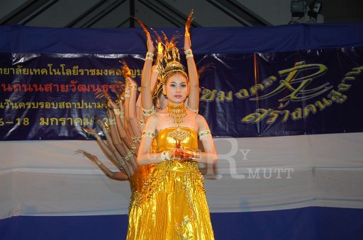 DSC_0333.JPG