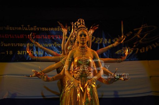 DSC_0336.JPG