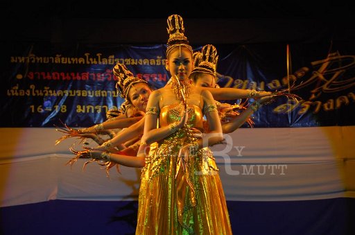 DSC_0379.JPG
