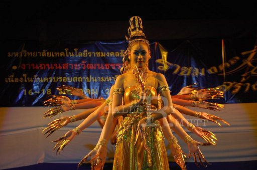DSC_0382.JPG