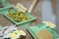 IMG_0674