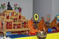 IMG_2517
