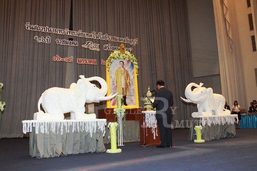 IMG_2261.JPG