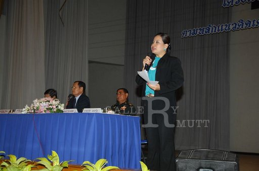 DSC_0037.JPG