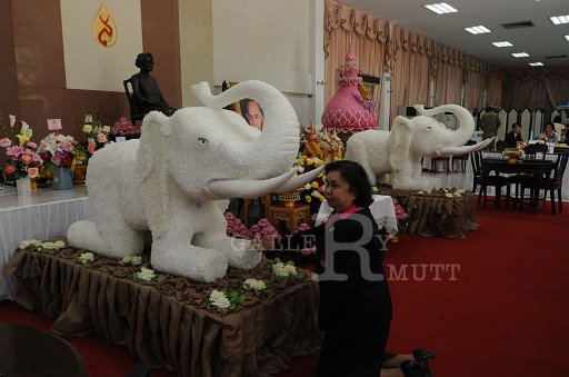 DSC_3917.JPG