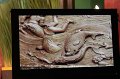 IMG_0188