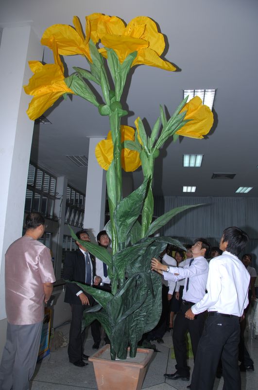 DSC_0010.JPG