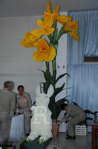 DSC_0040.JPG