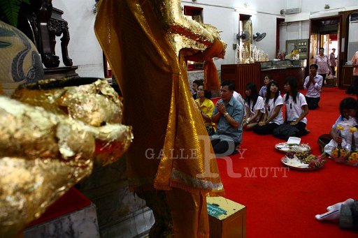 IMG_9887.JPG