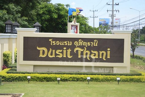 _MG_9940.JPG