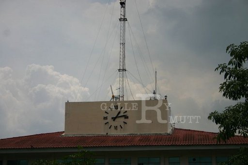 IMG_5363.JPG