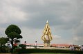 IMG_5419