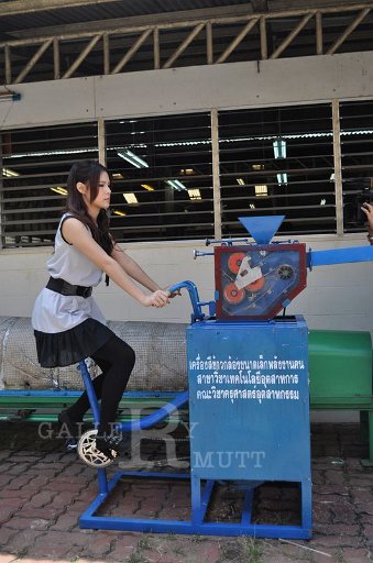 DSC_1394.JPG