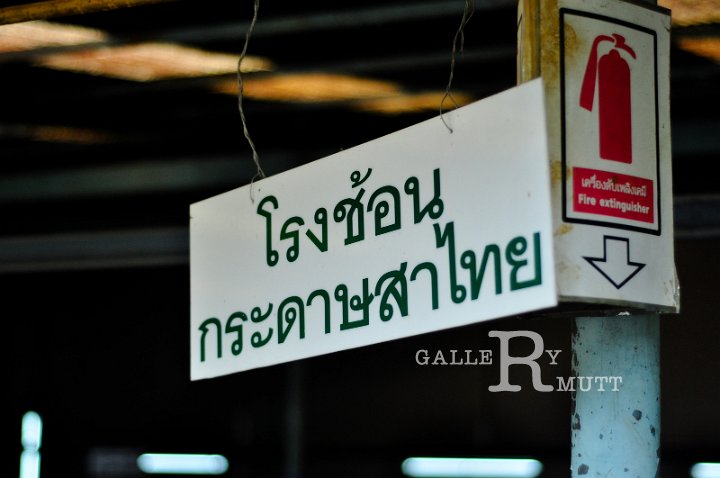 DSC_1180.jpg