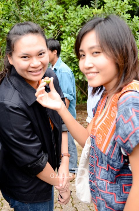 DSC_9395.jpg
