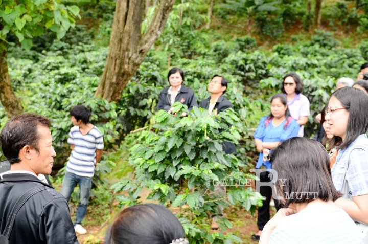 DSC_9437.jpg
