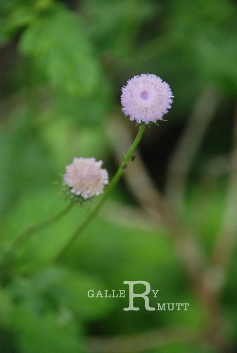 2013-07-20-F011.jpg - ARIT(PRODUCTION)