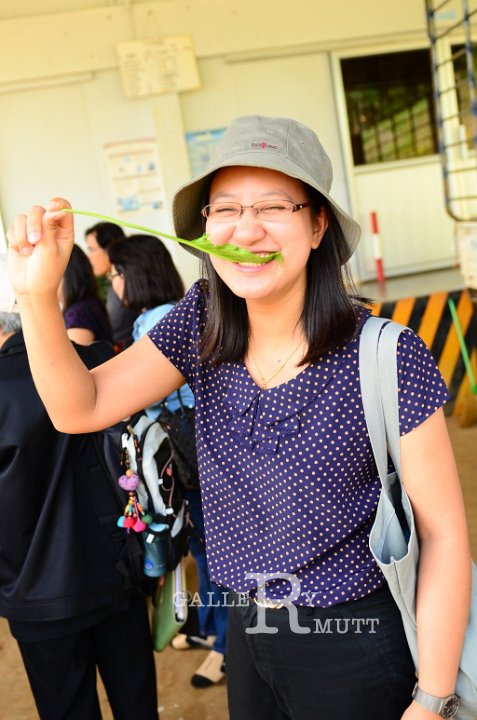 DSC_0055.JPG