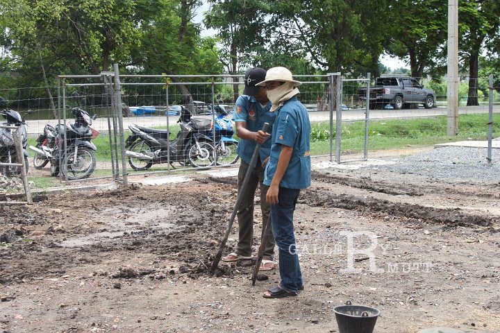 20130620-019.jpg
