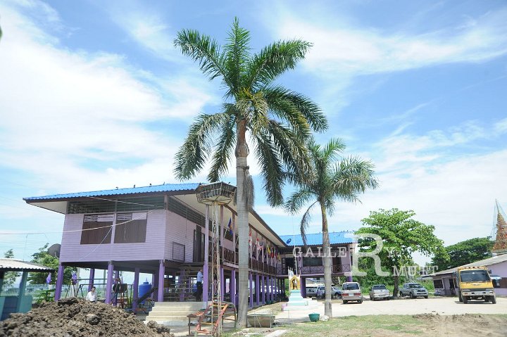 DSC_7537.JPG
