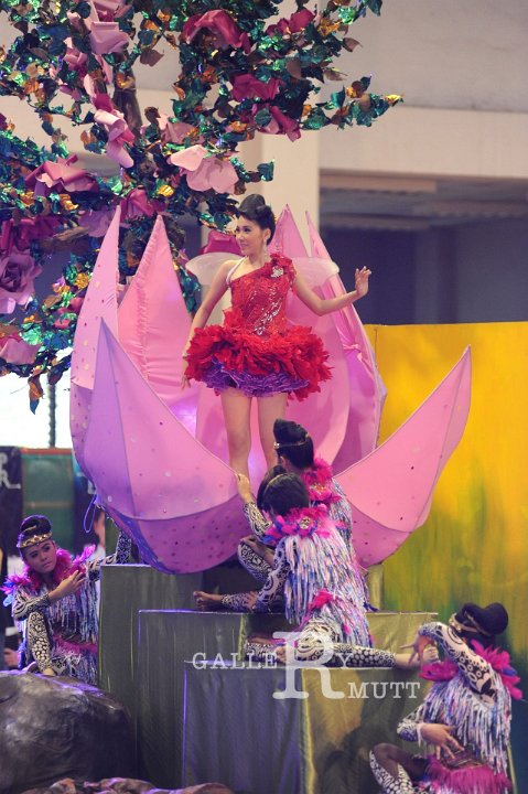 DSC_7846.JPG