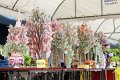 IMG_5835