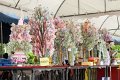 IMG_5836