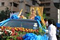 IMG_0591