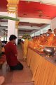 IMG_1131