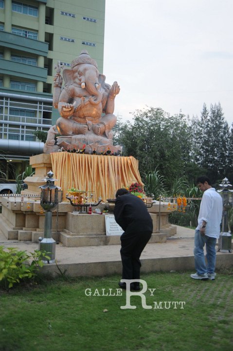 DSC_4844.JPG