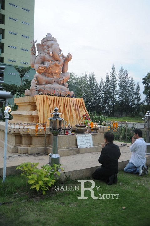 DSC_4847.JPG