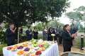 IMG_3540