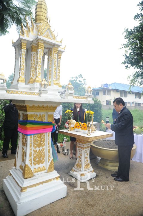 DSC_5777.JPG