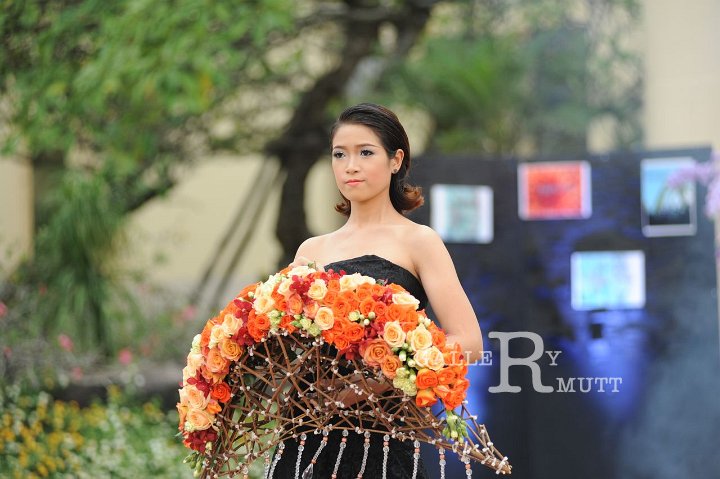 DSC_7734.JPG