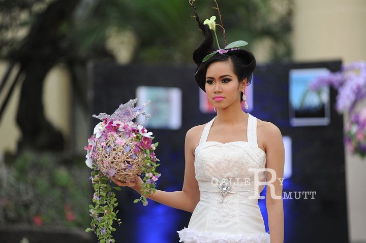 DSC_7811.JPG