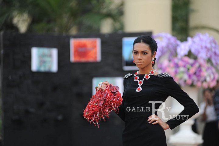 DSC_7821.JPG