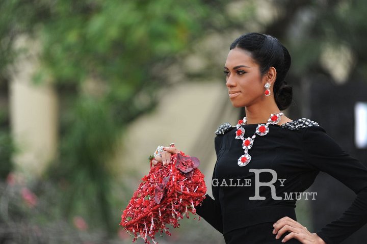 DSC_7824.JPG