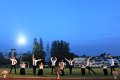 IMG_8862