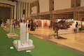 IMGM0237