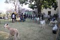 IMG_6766