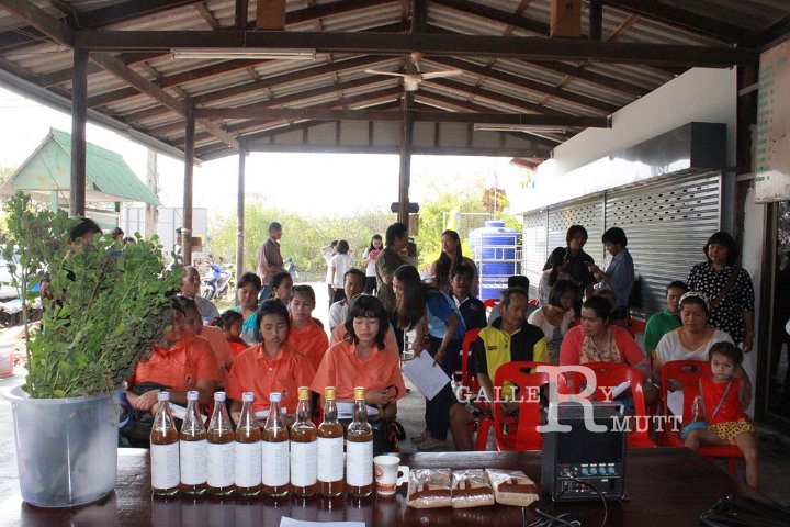 sci-kokkham2014-03-11_06.jpg
