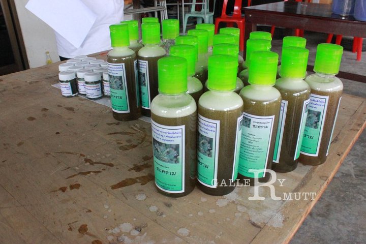 sci-kokkham2014-03-11_100.jpg