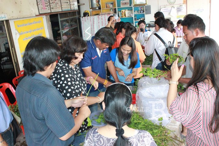 sci-kokkham2014-03-11_32.jpg