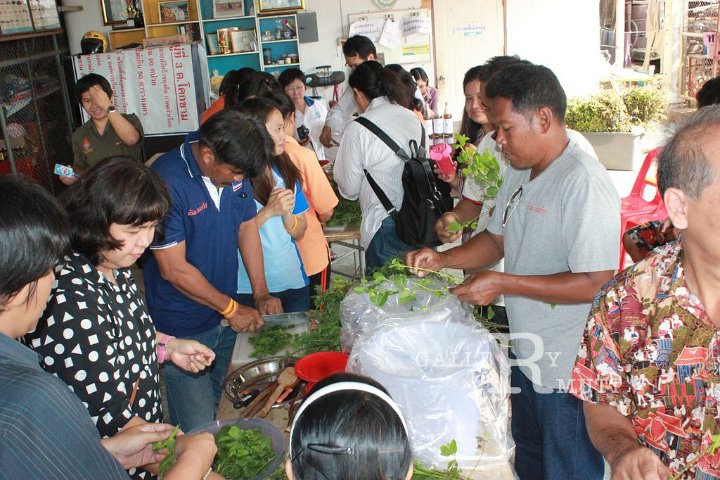 sci-kokkham2014-03-11_33.jpg