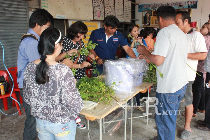 sci-kokkham2014-03-11_35.jpg