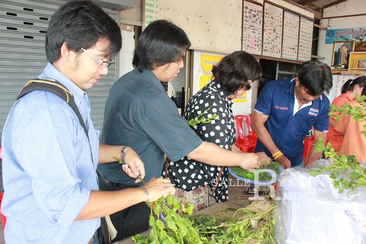 sci-kokkham2014-03-11_43.jpg