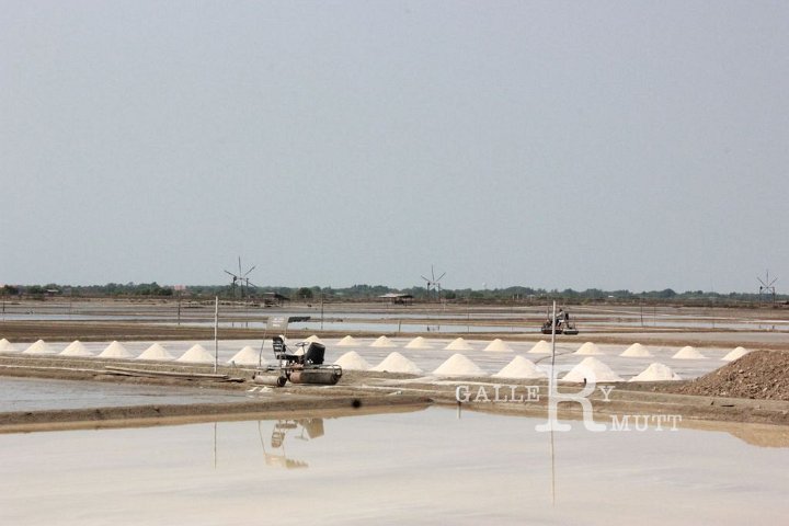 sci-kokkham2014-03-11_62.jpg