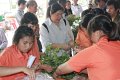 sci-kokkham2014-03-11_29